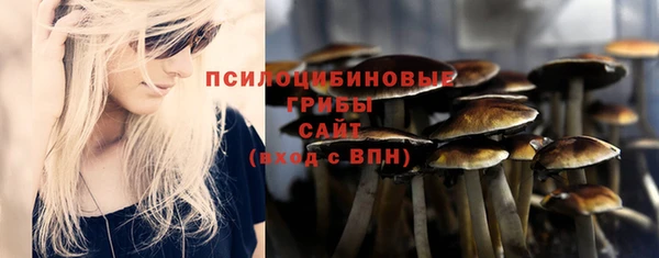 дурь Богданович