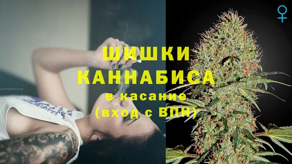 дурь Богданович