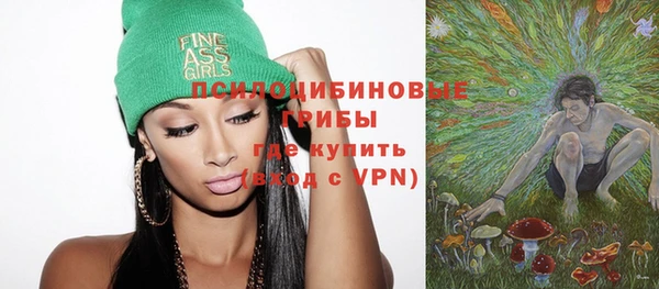 дурь Богданович