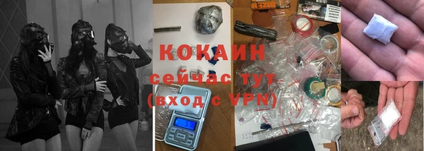 дурь Богданович